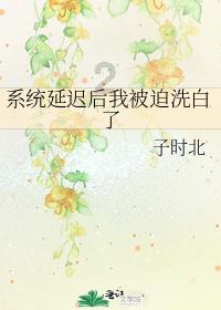 数学男孩