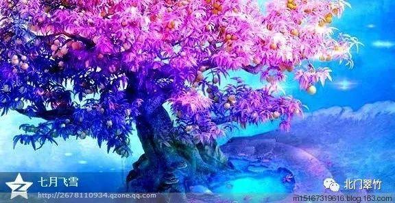 热血射门